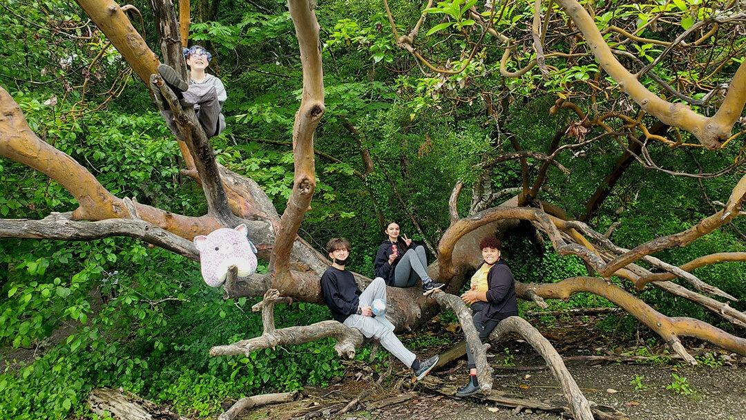 group of young people in a tree